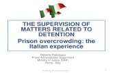 THE SUPERVISION OF MATTERS RELATED TO DETENTION · 1. Grant measures alternative to detention as per the Penitentiary Act, both from the state of liberty and from detention (as a
