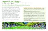Agroecology - Pesticide Action Network · Agroecology, considered the foundation of sustainable agriculture, is the science and practice of applying eco-logical concepts, principles