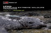 LPWA: Enabling ExtrEmE WildlifE tracking · 2017-02-25 · In their trials of NB-IoT, Vodafone’s engineers have been particularly impressed with its ability to provide a signal