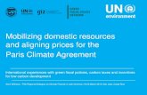 Mobilizing domestic resources and aligning prices for the ...euroclimaplus.org/images/Green_Fiscal_Policy_Network_Experiencia… · In Egypt, fossil fuel subsidy reforms catalyzed