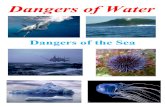 Dangers of the Sea · 2015-06-26 · Dangers of Water Dangers of the Sea. Dangers of Water Flooding. 5 reasons for not drinking bottled water 1. Water quality is no better than tap-water!