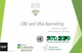 CBD and DNA Barcoding - International Barcode of Lifeibol.org/site/wp-content/uploads/2018/10/Shimura-CBD-and-DNA-Bar… · CBD-GTI and DNA Barcoding – Phase I (2015-2016) u GTI