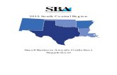 2015 South Central Region - sba.gov SBA Small... · South Central Region Small Business Awards Supplement 2015 Introduction In recognition of the small business community’s contribution