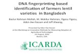 DNA fingerprinting based identification of farmers lentil ... · DNA fingerprinting based identification of farmers lentil varieties in Bangladesh Bazlur Rahman Mollah, M. Wakilur