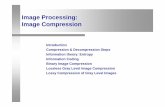 Image Processing: Image Information Coding Binary Image Compression Lossless Gray Level Image Compression