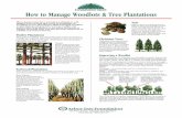 How to Manage Woodlots & Tree Plantations · plantation, or cut as complete sections of a plantation. Trees for new-technology fuelwood heating/cooling plants are harvested in as