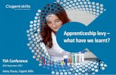 Apprenticeship levy what have we learnt? · Apprenticeship levy ... by their employer as ready for end-point assessment of their knowledge and practical capabilities. In some standards