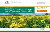 Canola variety guide for Western Australia · National Variety Trials (NVT) scheme. Yield and oil data were provided through the Australian Crop Accreditation System (ACAS). The canola