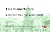 booklet - tree biomechanics · 2014-10-22 · 4. Components of Tree Stability a) Tree geometry (root, stem, crown) b) Wood properties (strength and stiffness) c) Loads applied to
