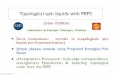 Topological spin liquids with PEPSnqs2014.ws/archive/Presen...Topological spin liquids with PEPS Didier Poilblanc Laboratoire de Physique Théorique, Toulouse • Some motivations: