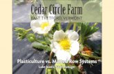 Cedar Circle Farm - uvm.edu › vtvegandberry › VVBGAMeeting2017 › ... · Annual, Perennial Flowers and Vegetable starts On-site Farmstand and Cafe, U-pick, CSA, and 3 farmers