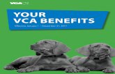 YOUR VCA BENEFITS...VCA’s benefits program gives you the opportunity to choose a wide variety of plans that offer . quality coverage at a range of different costs, including medical,
