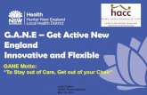 G.A.N.E Get Active New England Innovative and Flexiblefallsnetwork.neura.edu.au/wp-content/uploads/2013/... · get active new england assessment high risk frail aged low risk active
