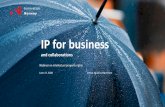 IP for business - innovasjonnorge.no › globalassets › 0-innovasjonnorge.n… · IP for business and collaborations Webinar on intellectual property rights June 17, 2020 Felipe