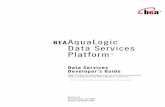 BEAAquaLogic Data Services Platform - Oracle · data transformation, and data synchronization remain some of the most vexing challenges facing the IT world. AquaLogic Data Services
