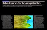 Biomimetics Nature’s template - Royal Society of Chemistry › images › NaturesTemplate_tcm18-98166.pdf · Biomimetics mimicking natural structures to manufacture impressive and