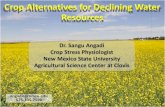 Dr. Sangu Angadi Crop Stress Physiologist New …aces.nmsu.edu/ces/plant_sciences/documents/Crop Alts_Extn...Crop Alternatives for Declining Water Resources Dr. Sangu Angadi Crop Stress