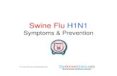 Swine Flu H1N1 - Weebly...• Swine Influenza (swine flu) is a respiratory disease of pigs caused by Type A influenza viruses that causes regular outbreaks in pigs. • Swine flu is