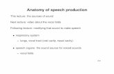 Anatomy of speech production › wp-content › uploads › 2018 › 10 › ... · The articulators: tongue • most important articulator • capable of complex movements • can