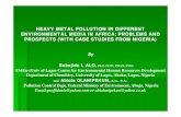 HEAVY METAL POLLUTION IN DIFFERENT ENVIRONMENTAL …HEAVY METAL POLLUTION IN DIFFERENT ENVIRONMENTAL MEDIA IN AFRICA: PROBLEMS AND PROSPECTS (WITH CASE STUDIES FROM NIGERIA) By Babajide