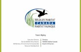 Travis Ripley - University of Alberta › research-services-office › ... · An international conservation success story, but… Loss of wetlands is a serious threat to people everywhere