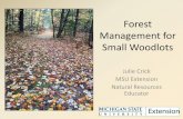 Forest Management for Small Woodlots · Natural Resources Conservation Service (NRCS) •EQIP - Environmental Quality Incentives Program •Forestry practices, including crop tree