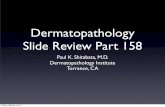 Dermatopathology Slide Review Part 158dermpathmd.com/cases/dermatopathology_general... · rapidly growing soft tissue tumor in the extremities and may have an antecedent history of