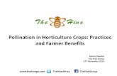 Pollination in Horticulture Crops: Practices and Farmer Benefits · 2016-02-01 · Benefits of honey bee pollination in horticulture Bee pollination results in a higher number of
