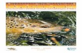 6. Victorian Wild Trout Strategic Plan The Draft Wild Trout … Trout... · 2019-12-01 · Public consultation on the Draft Wild Trout Strategic Plan will be open until the end of