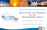 Water and Energy: Beyond the Nexus · CSP and PV Biopower Nuclear Natural Gas Coal SOURCE: National Renewable Energy Laboratory, US, NREL Technical Report, NREL/TP-6A20-50900 13 ...