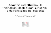 Adaptive radiotherapy: le variazioni degli organi a rischio · radiotherapy Adaptive RT could be considered in a selected group of patients (those with an anisotropic shape change)