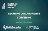 LEARNING COLLABORATIVE CONVENING › production.media.nyam.org › filer_publi… · Planning / Procurement / Policy-making and Regulation through interagency collaboration at the