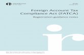 Foreign Account Tax Compliance Act (FATCA)...V. Accounts Excluded from Financial Accounts 30 VI. Definitions 31 Appendix 4: "Active NFFE" Definition in the Annex 1 of the IGA 32 FATCA