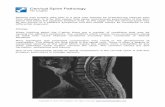 Cervical Spine Pathology - learnorthopaedics.com · For patients with cervical disc prolapse a period of non surgical management can be appropriate, where the pain is controlled and