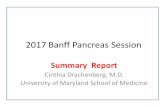 Banff Pancreas Session - sctransplant.org › ... › BanffSummary › 4-Pancreas.pdf · 2017 Banff Pancreas Session •Julien Branchereau, Nantes, France –Pancreas perfusion with