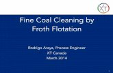 Fine Coal Cleaning by Froth Flotation · • Surface chemistry based separation technique. – Pulp consists of hydrophobic and hydrophilic species ... Coal Flotation • Need to