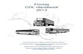 Model Commercial Florida CDL Handbook Driver License 20113 ... · yield to pedestrians and the sidewalk in at least 5 feet wide. 316.2126(1) • Parent or legal guardians may not