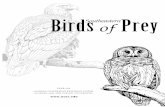Birds Southeastern of Prey › wp-content › uploads › 2018 › 09 › ...Except for vultures, raptors (or birds of prey), hunt live animals to kill and eat. Most raptors have a