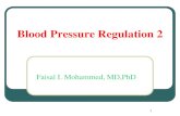 Blood Pressure Regulation 2 - WordPress.com · Long term Regulation of BP …cont 4. Atrail Natriuretic peptide (ANP): An 28 a.a peptide released mainly from the Rt. Atrium in response