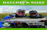 HATCHES & RISES€¦ · overview of his thoughts and observations gathered ... successful hatch of 180 eyed-eggs into alevins, my students observed our trout lying in the hatching