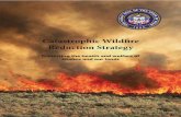 Catastrophic Wildfi re Reduction Strategyag.utah.gov › documents › CatFireFinalReport120213.pdfthe land. Invasive species, policies that reduce naturally-occurring and benefi cial