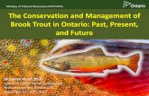 and Forestry The Conservation and Management of Brook ... · Jacquelyn Wood, Ph.D. Latornell Conservation Symposium . Nottawasaga Inn, Alliston ON . November 21. st-23. rd, 2017 .