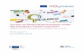ESF survey - fi-compass · fi-compass ESF survey Final report - 3 - 1. Background and methodology fi-compass was set-up by the European Commission (EC) and the European Investment
