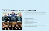 Section B The Cultural Environment › ... › files › the_cultural_environm… · The Cultural Environment: Celebrating Ethnic Heritage In 1866, settlers from New England founded