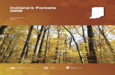 Indiana’s Forests 2008 · across forest landscapes. The yearly trend in biosite index values has decreased for Indiana’s forests since the late 1990s and early 2000s (Fig. 42).