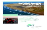 NATURE BASED SOLUTIONS - Tour du Valat · 2019-04-08 · Dune management 13 (Praia do Faro, Portugal) Dune fences help trap sand in the dune areas, reinforcing the dune system. Dunes