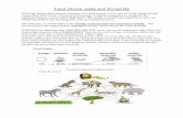 Food chains webs and Pyramid - MS. PINA › uploads › 6 › 0 › 0 › 2 › 60021843 › ... · Food chains, webs and Pyramids All living things (plant animals, bacteria, etc.)