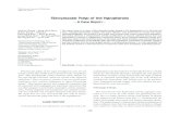Fibrovascular Polyp of the Hypopharynx › upload › pdf › kjp-42-4-226.pdf · tion’s international histologic classification of tumors recom-mends that the term fibrovascular