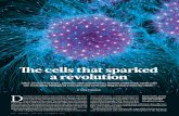 The cells that sparked a revolution · Embryonic stem (ES) cells provide unparallelled information on early development. Like astronomers looking back to the Big Bang The cells that