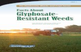 GWC-1, Facts about Glyphosate-Resistant Weeds 2012... · 2015-01-30 · The Glyphosate, Weeds, and Crops Series Facts About Glyphosate-Resistant Weeds Chris Boerboom, University of